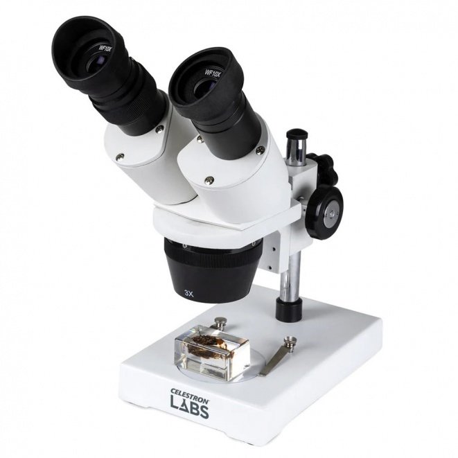 Celestron Labs S1030N Stereo Microscope
